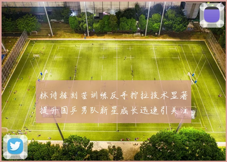 林诗栋刻苦训练反手拧拉技术显著提升国乒男队新星成长迅速引关注