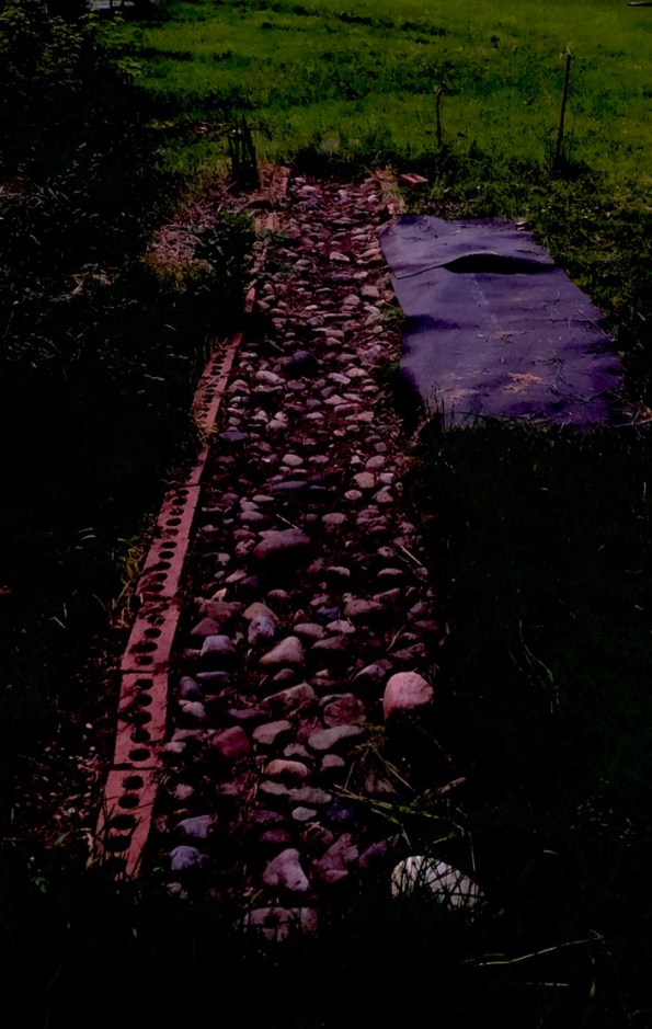 88A4CE5E-46B6-4BE4-993A-654C1D247E90_1_105_c